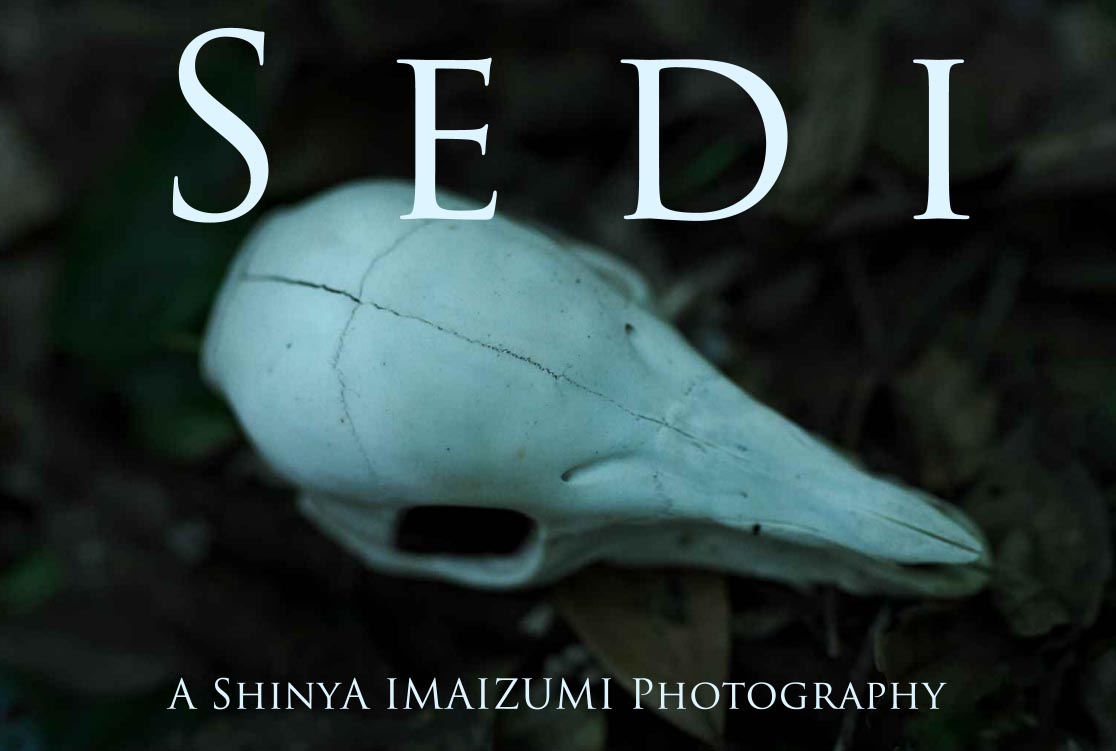 SEDI表紙