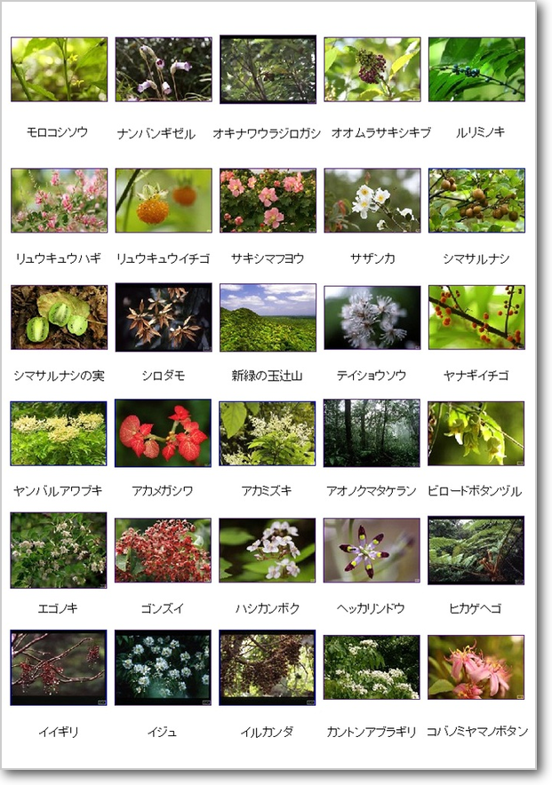 沖縄環境分析センター